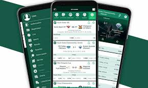 Experience the Thrill of BetWinner Online Casino