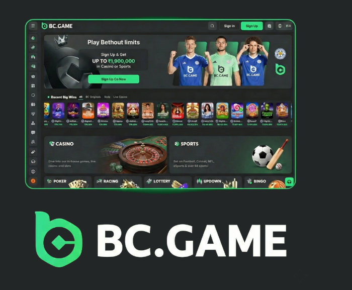Explore BC.Game Online Casino A Comprehensive Guide